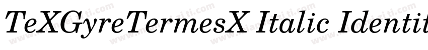 TeXGyreTermesX Italic Identity H字体转换
